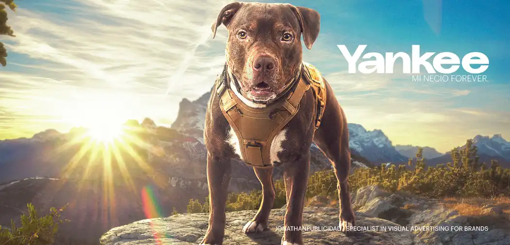 Publicidad-creativa-Yankee-Pitbull-El-necio-Forever-by-Jonathanpublicidad