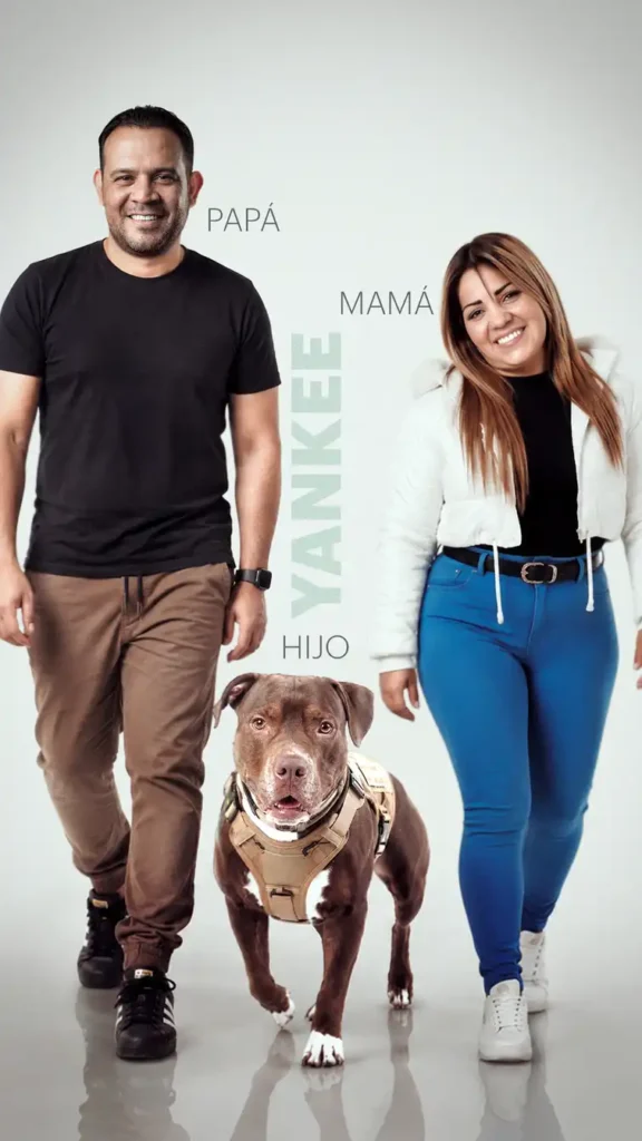 Yankee-Jonathan-Johanna-Familia-con-hijo-pitbull-perro-jugueton-necio-stories